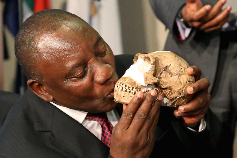 South Africa's Deputy President Cyril Ramaphosa kisses a replica of the skull of a newly discovered ancient species, named "Homo naledi", during its unveiling outside Johannesburg September 10, 2015. Humanity's claim to uniqueness just suffered another setback: scientists reported on Thursday that the newly discovered ancient species related to humans also appeared to bury its dead. Fossils of the creature were unearthed in a deep cave near the famed sites of Sterkfontein and Swartkrans, treasure troves 50 km (30 miles) northwest of Johannesburg that have yielded pieces of the puzzle of human evolution for decades. The new species has been named 'Homo naledi', in honour of the "Rising Star" cave where it was found. Naledi means "star" in South Africa's Sesotho language. REUTERS/Siphiwe Sibeko